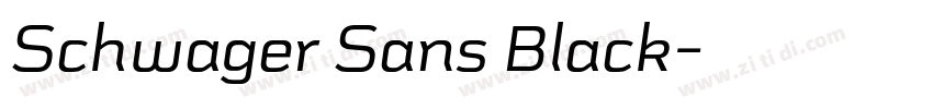 Schwager Sans Black字体转换